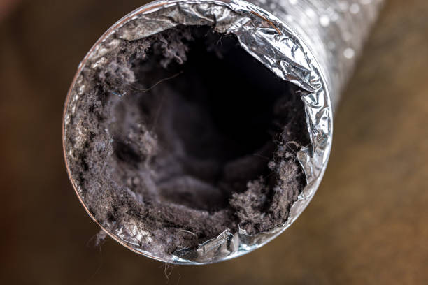 Best Affordable Duct Cleaning Services  in Cedaredge, CO